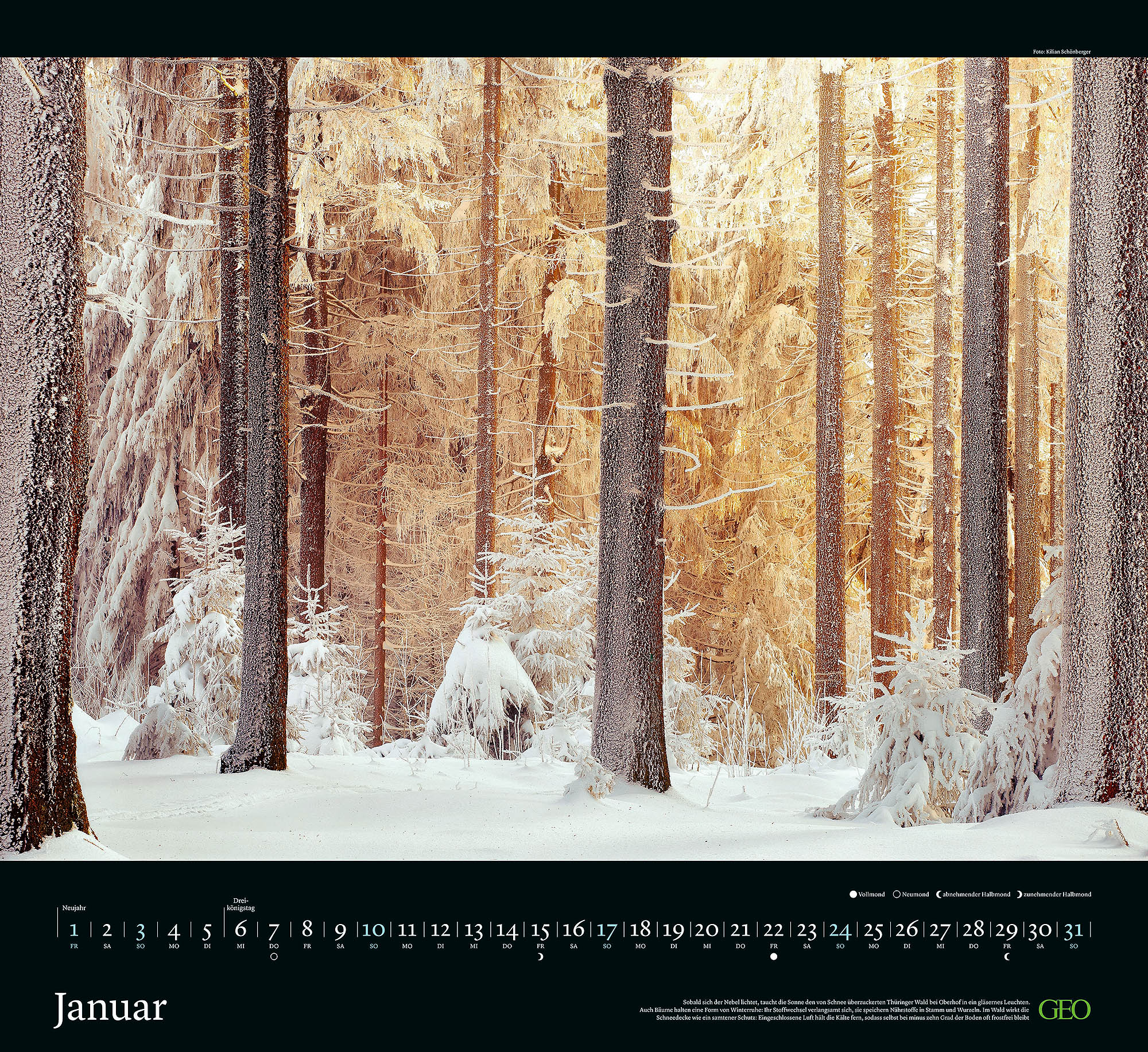 Kalender "Sehnsucht Wald" 2027