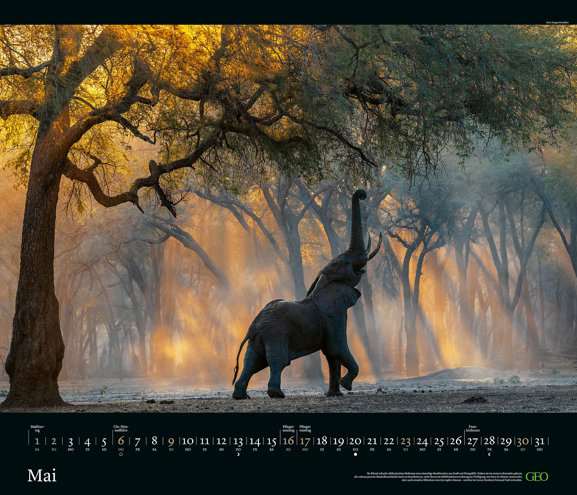 Edition-Kalender "Tierwelten" 2027