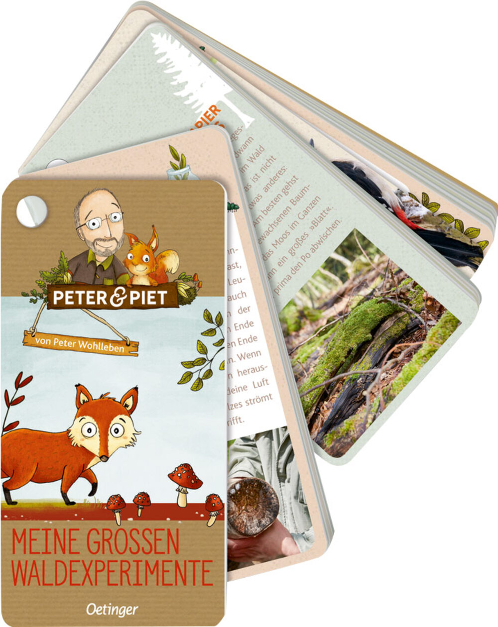  „Peter & Piet – Meine großen Waldexperimente“ von Peter Wohlleben