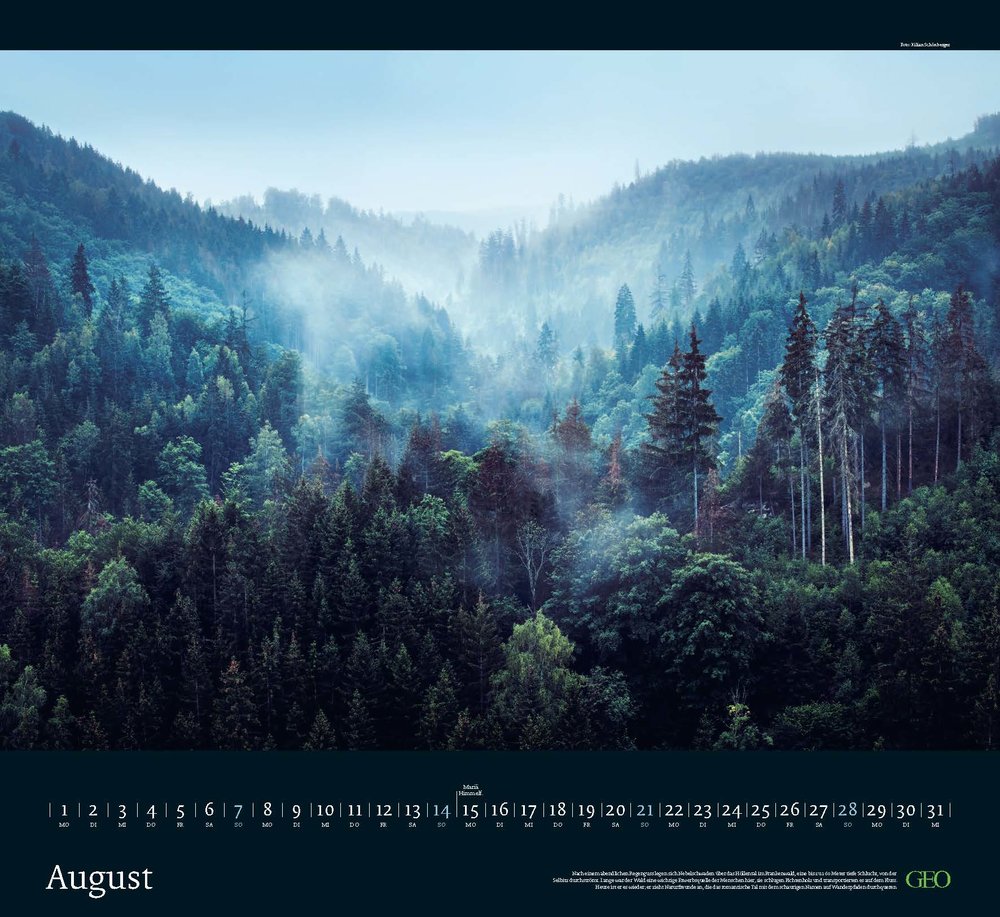 Kalender "Sehnsucht Wald" 2022