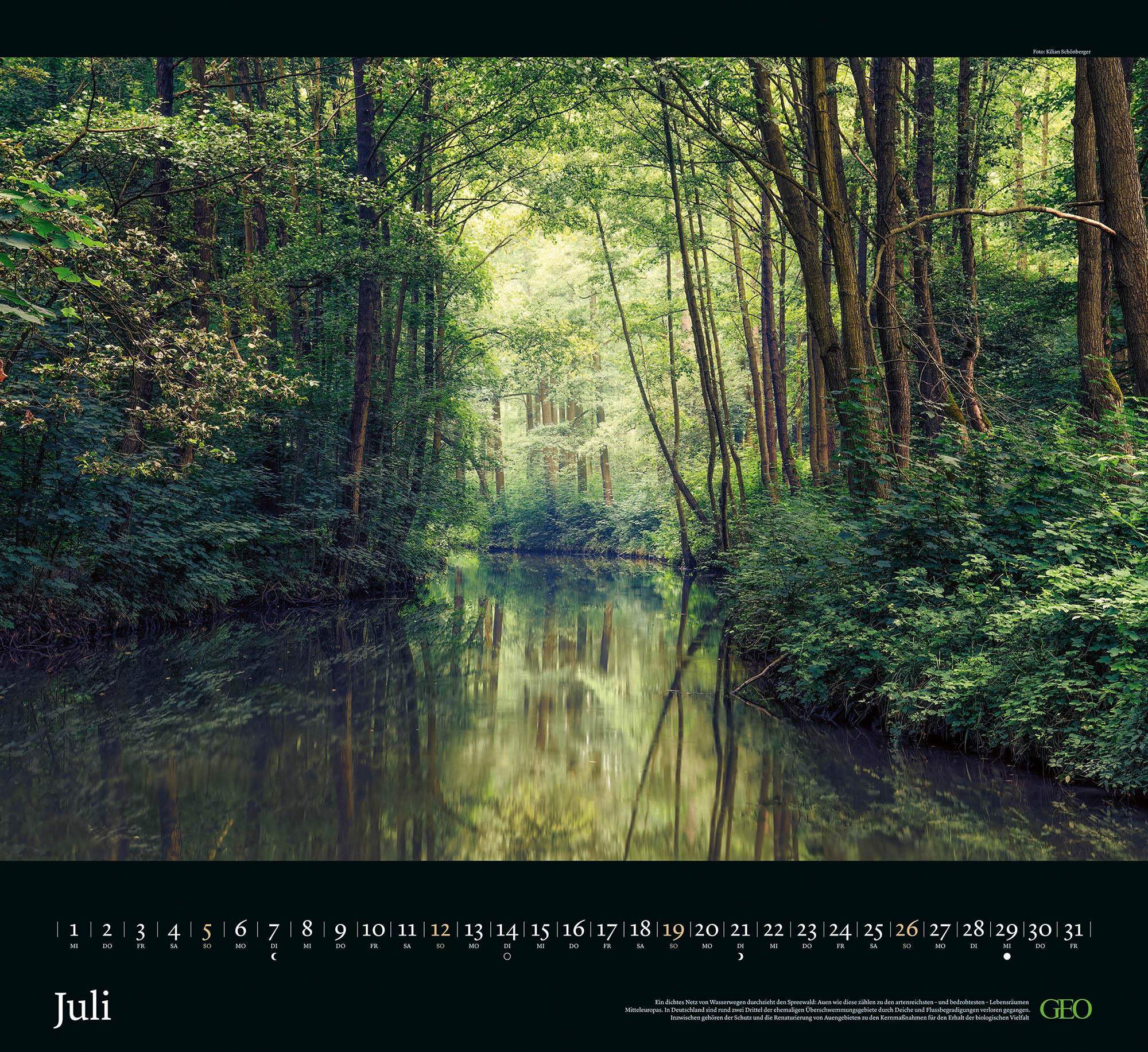 Kalender "Sehnsucht Wald" 2026