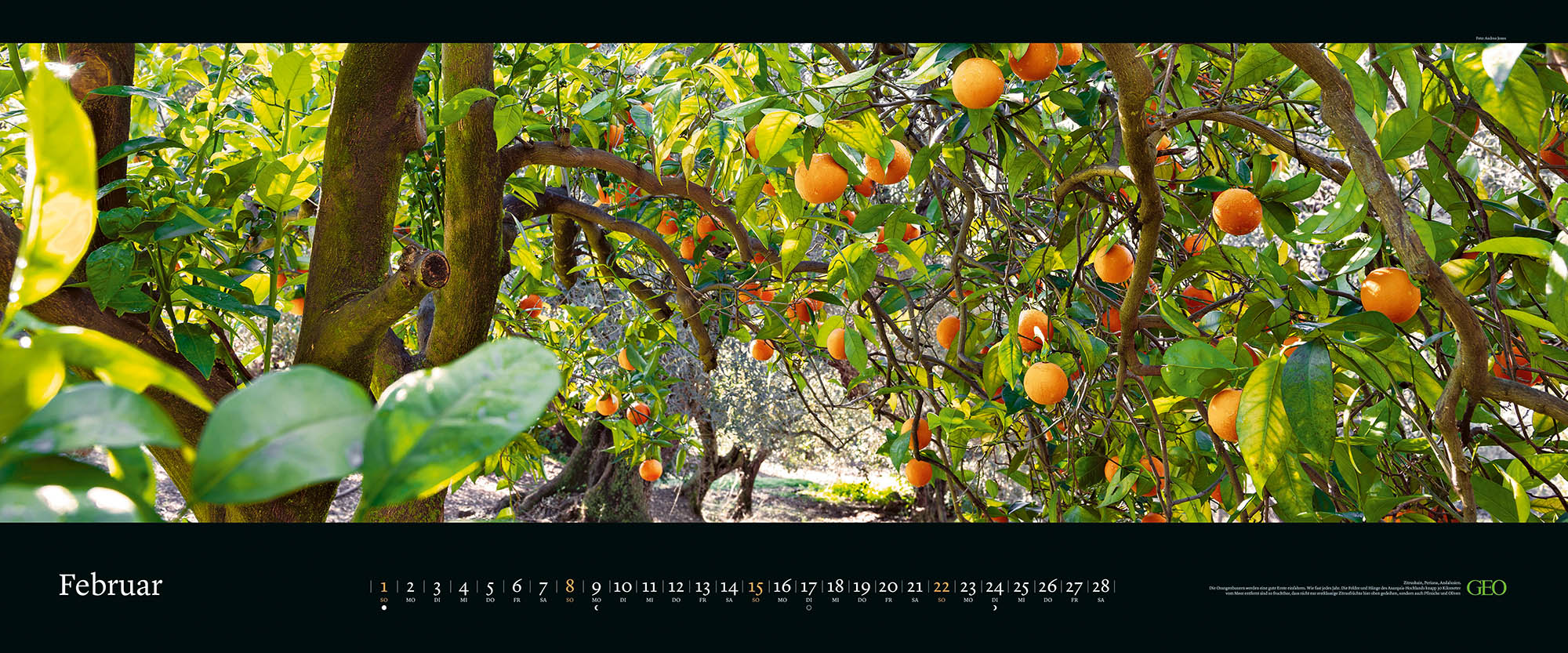 Panorama-Kalender-Abo "Die schönsten Gärten" 2026