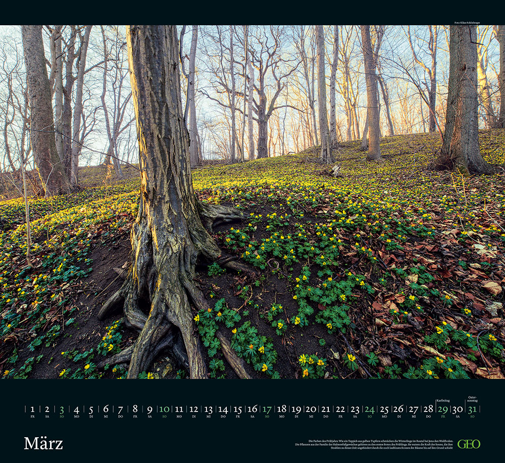 Kalender "Sehnsucht Wald" 2024