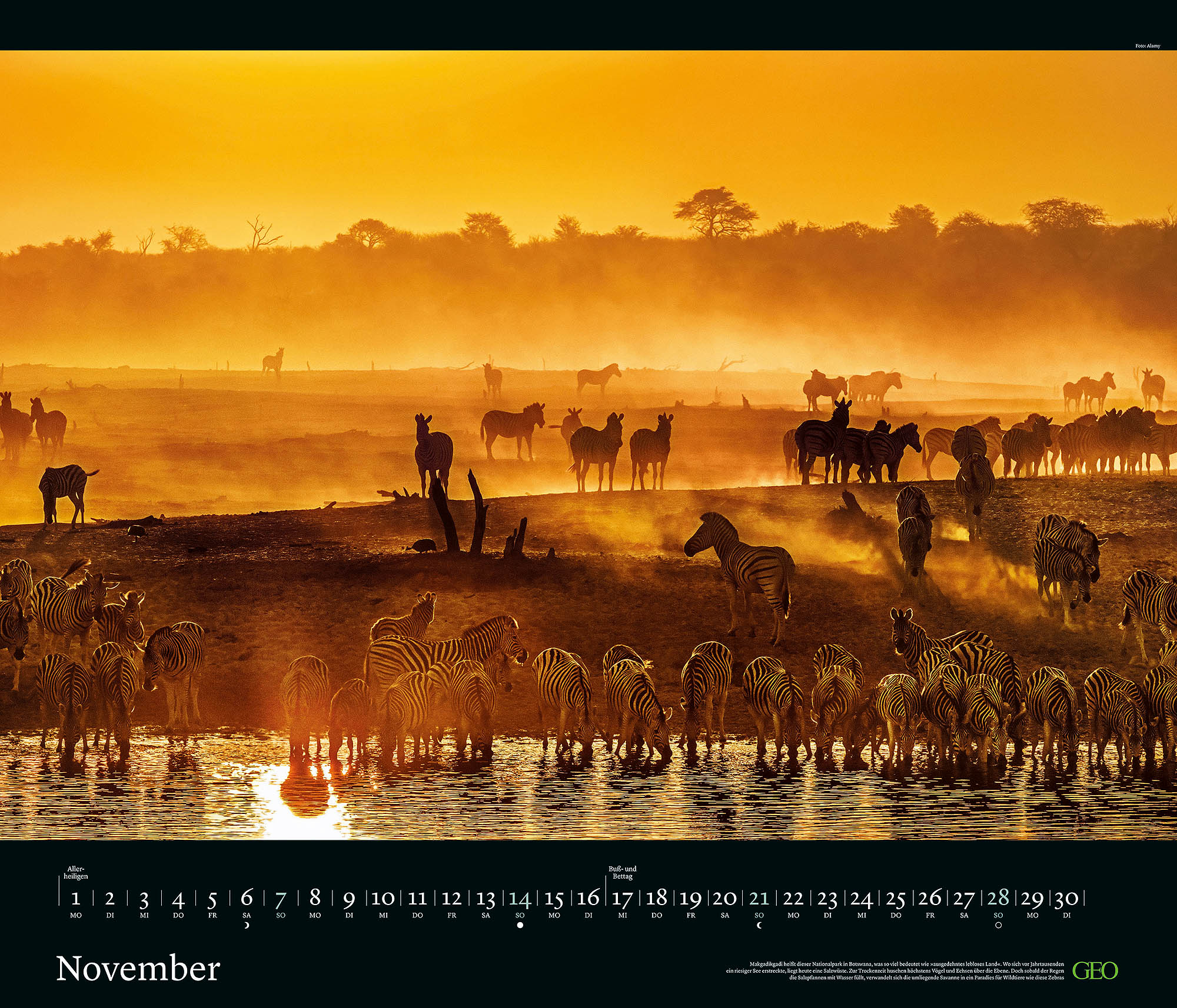 Edition-Kalender "Tierwelten" 2027
