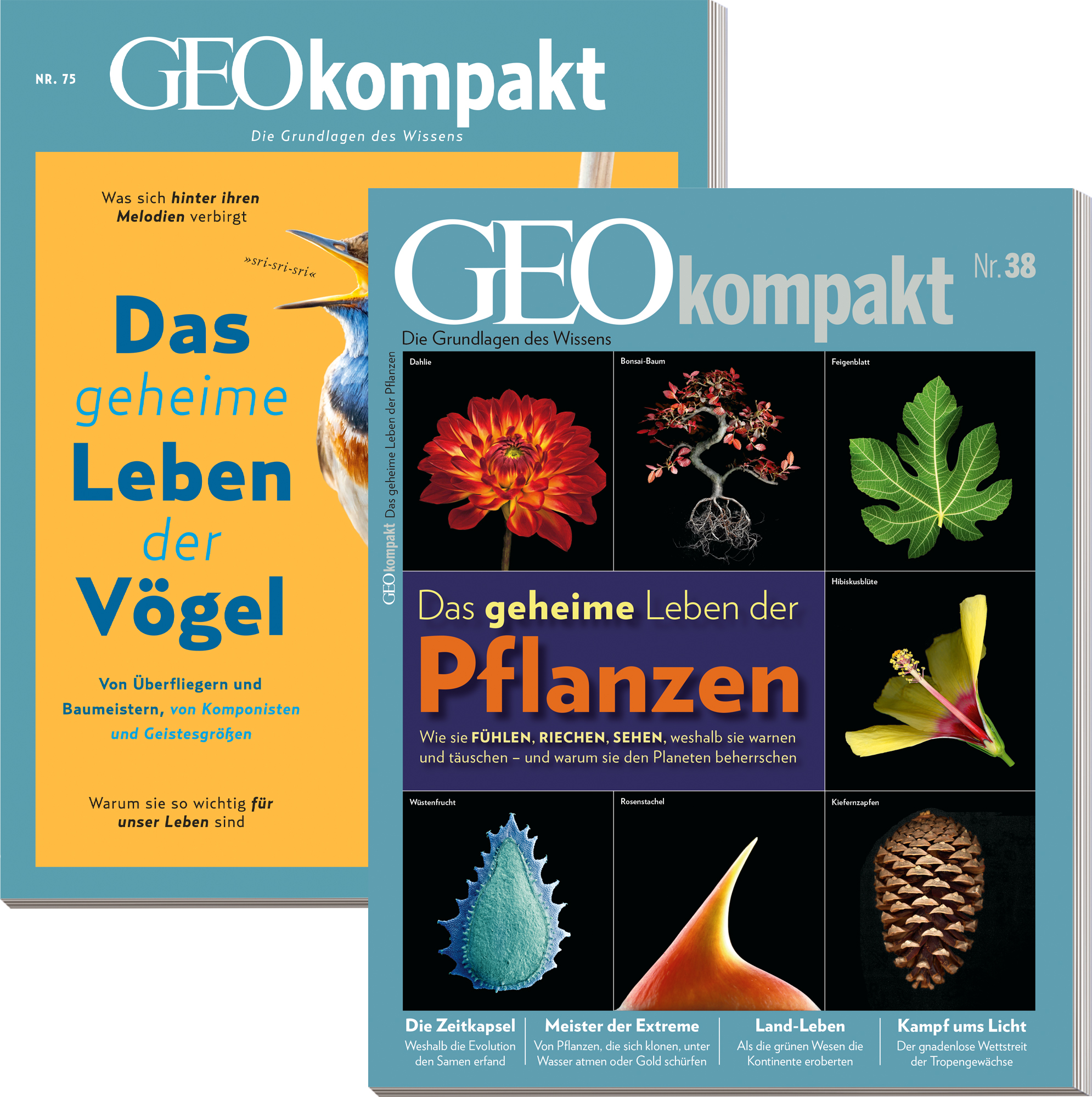 GEO KOMPAKT-Bestseller „Pflanzen“ & „Vögel“
