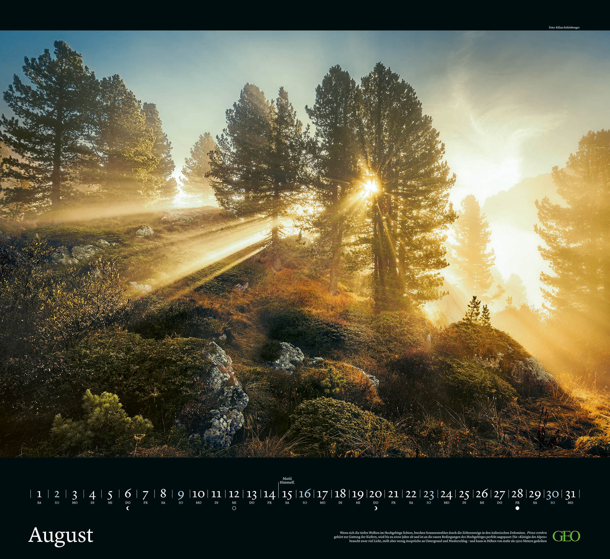 Kalender "Sehnsucht Wald" 2026