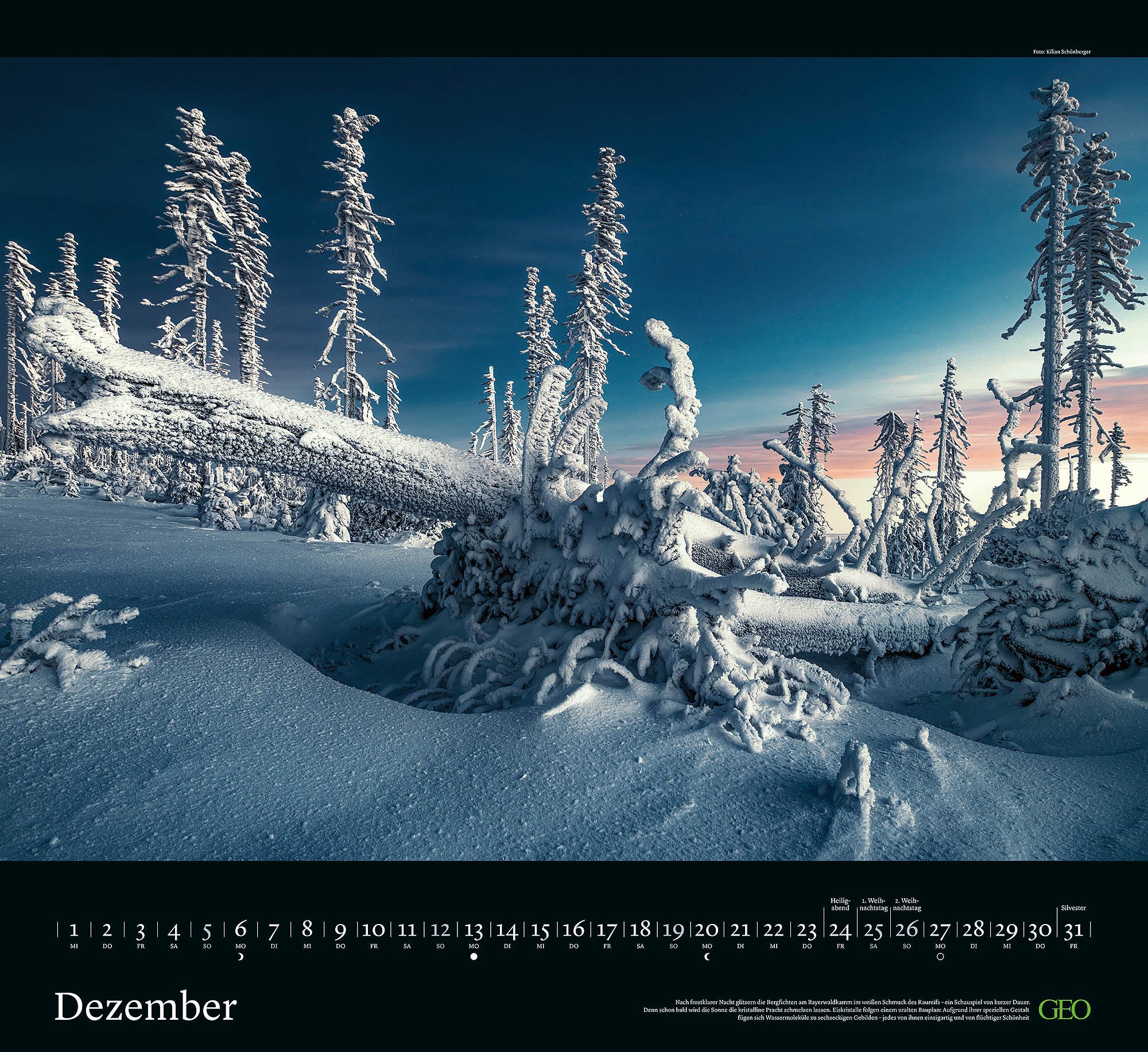 Kalender "Sehnsucht Wald" 2027